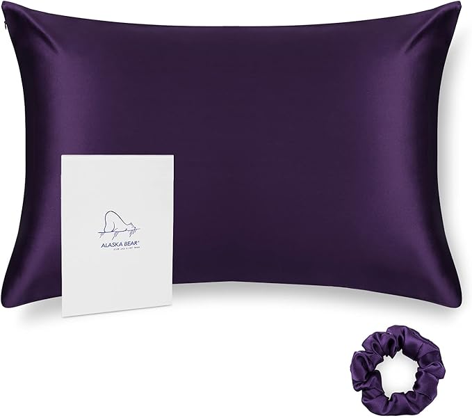 ALASKA BEAR Natural Silk Pillowcase, 100 Percent Mulberry Silk, Queen Size by ALASKABEAR