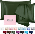 Silk Pillow Cases 2 Pack Mulberry Silk Pillow Cases Soft Breathable Both Sided by Casbrove