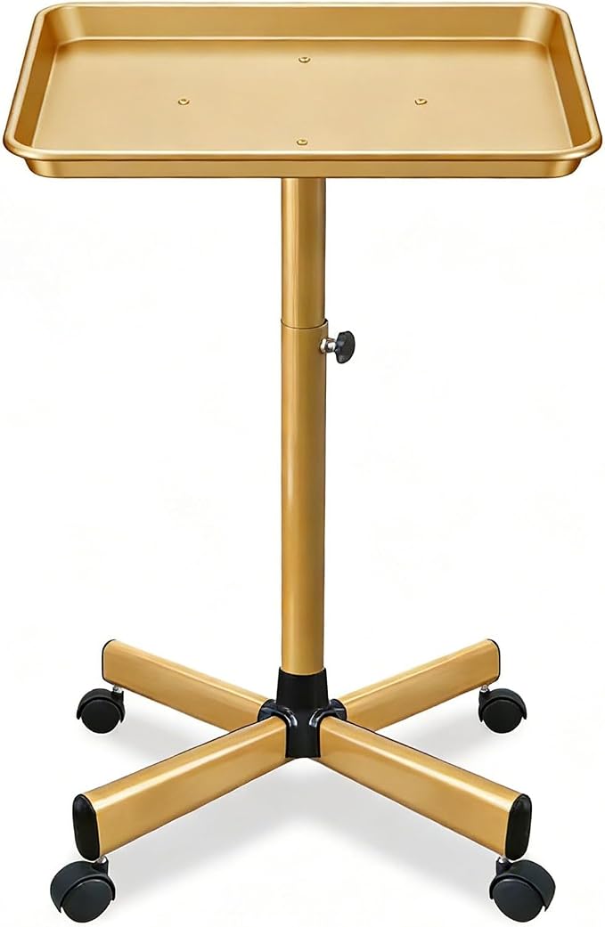 Salon Rolling Tray, Height Adjustable Tattoo Tray Rolling Cart, Storage Utility by Roixeeds