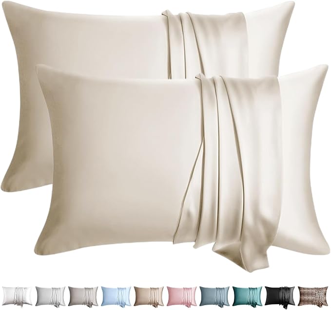 100% Silk Pillow Cases 2 Pack Queen Size Mulberry Silk Pillowcase by WLOSJ