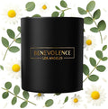 Benevolence LA Eucalyptus & Chamomile Christmas Scented Candles | Soy Candles by BenevolenceLA