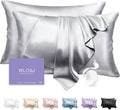 100% Silk Pillow Cases 2 Pack Queen Size Mulberry Silk Pillowcase Set of 2 by WLOSJ