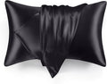 Love's cabin Satin Pillowcase Set of 2 Standard Size 20x26, Cooling Pillow by Lovescabin