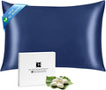Ravmix Silk Pillow Cases with Zipper, 21momme Mulberry Silk Pillowcase by Ravmix