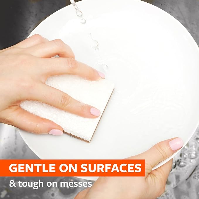 Full Circle Nutcase, Plant-Based Scrubber Sponges – Pack of 6 – 3 Walnut & 3 - Image 2