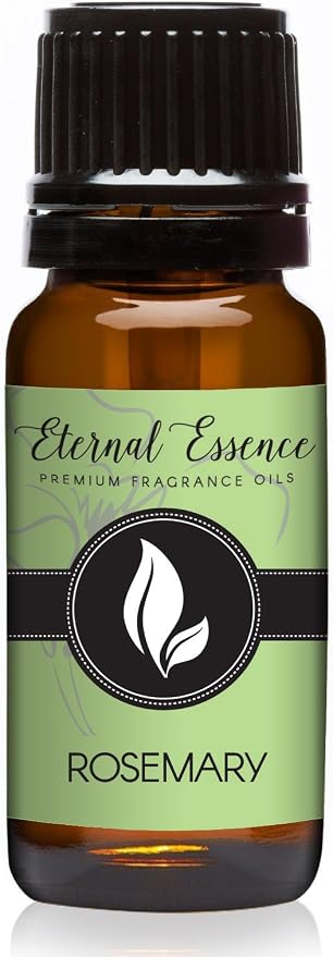 Rosemary Premium Grade Fragrance Oil - 10ml - Scented Oil by EternalEssenceOils