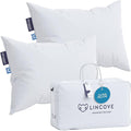 Lincove Cloud Natural Canadian Down Pillow, 500 Thread Count Cotton Shell by Lincove