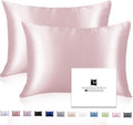 Ravmix Silk Pillow Cases 2 Pack by Ravmix
