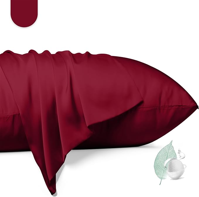 100% Mulberry Silk Pillowcase 2 Pack, Standard Size Silk Pillow Cases by Unknown