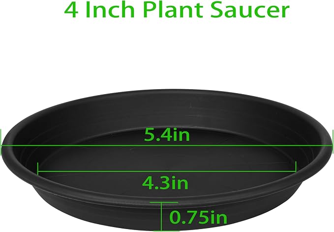 6 Pack Plant Saucers for Indoors, 4 5 6 7 8 9 10 11 12 13 15 17 19 inch Plant - Image 2