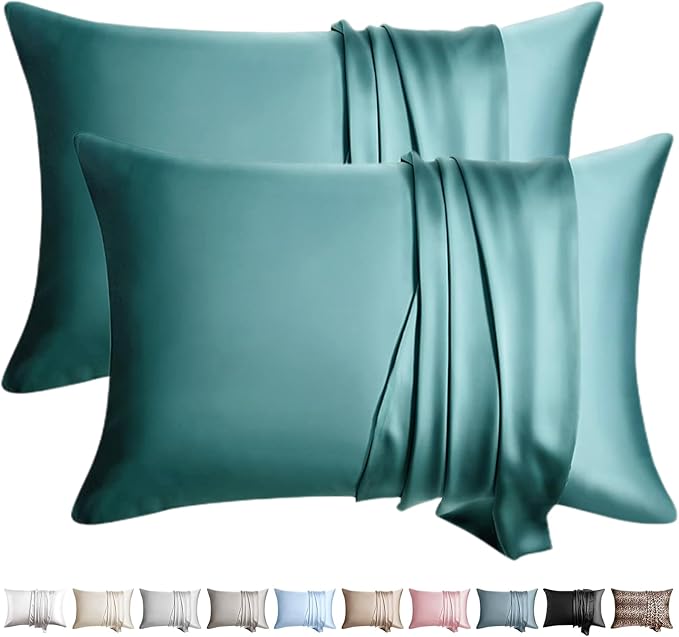 100% Silk Pillow Cases 2 Pack King Size Mulberry Silk Pillowcase by WLOSJ