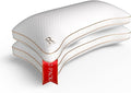 Royal Therapy Queen 2-Pack Memory Foam Pillow, Adjustable Shredded Odor-Free by ROYALTHERAPY