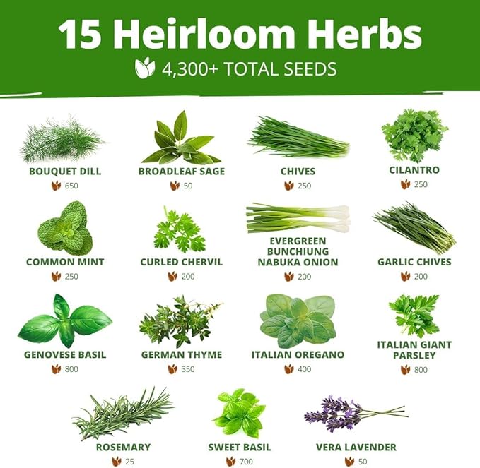 HOME GROWN 70 Variety Vegetable & Herb Seeds 32, 000+ USA Non-GMO Heirloom - Image 3
