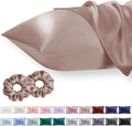 Queen Satin Pillowcase for Hair 2pc, Similar to Silk Pillow Cases, Easier Care by Vielit