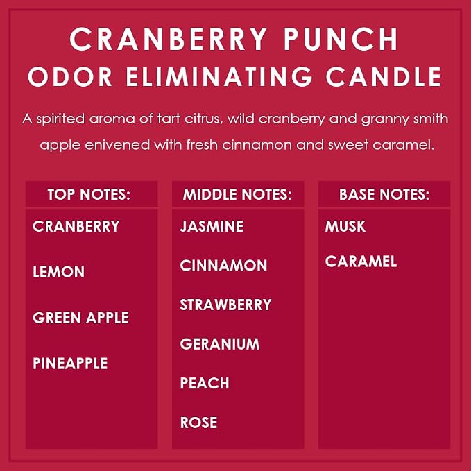 Cranberry Punch Odor Eliminating Highly Fragranced Candle - Image 4