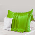 PROMEED 23 Momme Silk Pillowcase by PromeedTextile