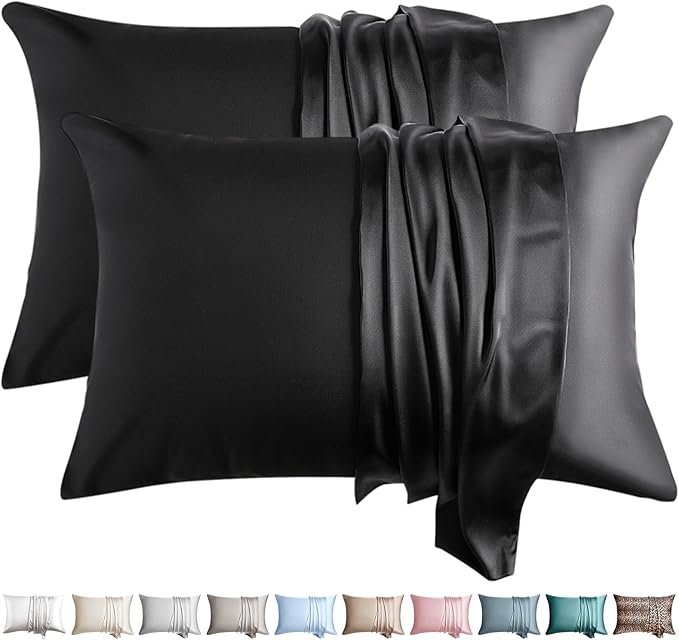100% Silk Pillow Cases 2 Pack Queen Size Mulberry Silk Pillowcase by WLOSJ