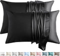 100% Silk Pillow Cases 2 Pack King Size Mulberry Silk Pillowcase by WLOSJ