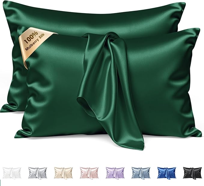 Silk Pillow Cases 2 Pack Queen Size Mulberry Silk Pillowcase Set of 2 by BRINGYOUTHEBEST