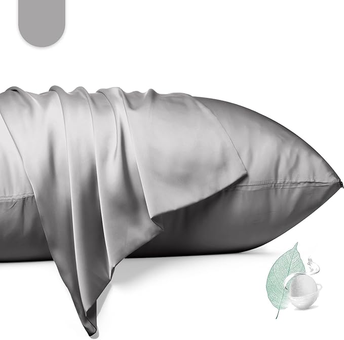 100% Mulberry Silk Pillowcase 2 Pack, Standard Size Silk Pillow Cases by Unknown