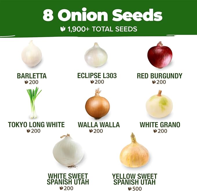 HOME GROWN 8 Onion Variety Mix 1600+ Heirloom Non-GMO Seeds - Image 3