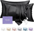 100% Silk Pillow Cases 2 Pack Standard Size Mulberry Silk Pillowcase Set of 2 by WLOSJ