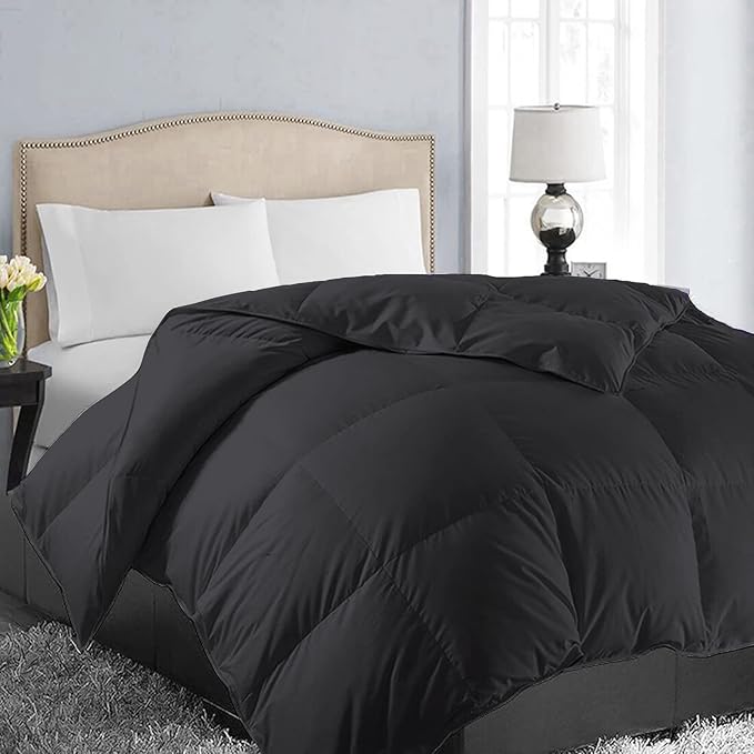 EASELAND Queen Size Down Alternative Comforter by EASELAND