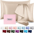Silk Pillow Cases 2 Pack Mulberry Silk Pillowcases Soft Breathable Both Sided by Casbrove