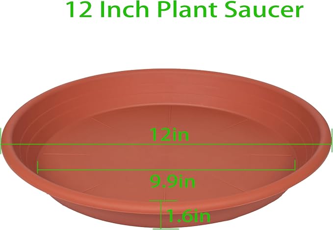 2 Pack of Plant Saucer 12 inch, 12 inch Plastic Plant Drip Trays, Heavy Duty - Image 2