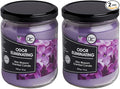 Lilac Blossom Two Pack Odor Eliminating Highly Fragranced Candle by DiannesCustomCandles