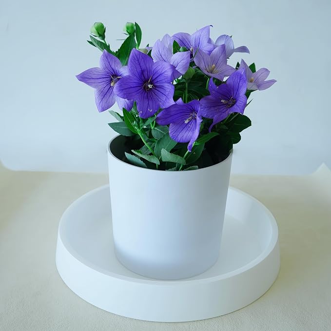 Plant Saucer Tray for Ceramic Plastic Pots, 14 inch Plant Saucers for Indoors - Image 4