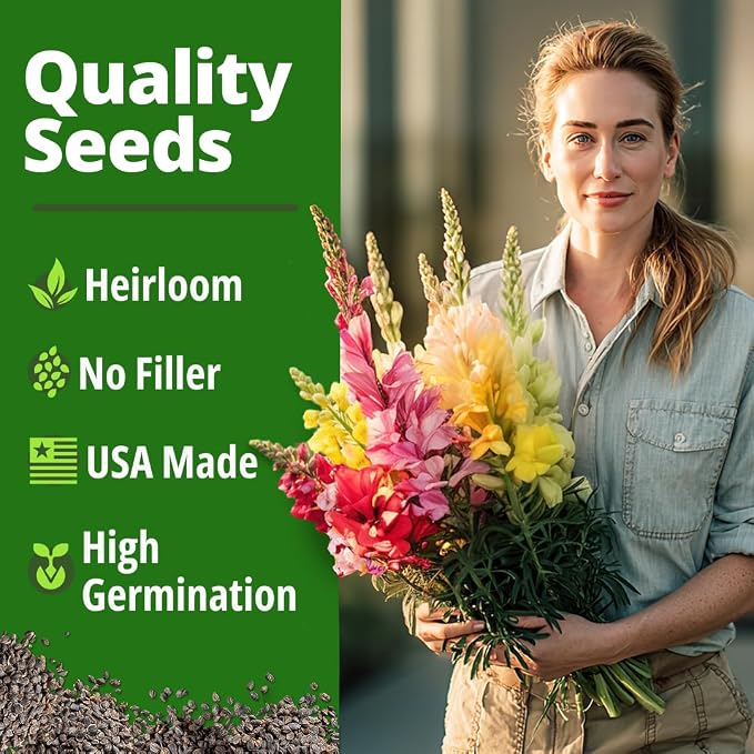 HOME GROWN Snapdragon Seeds Tetra – 2000 Tall Flower Seeds to Plant Outside - Image 6
