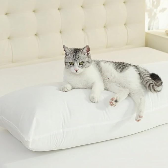 SHOUREN Cotton Body Pillow Insert - Image 2