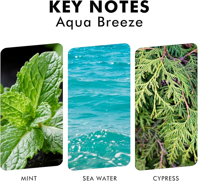 Xcleen Reed Diffuser Set, Aqua Breeze Scented Oil Diffuser - Image 3