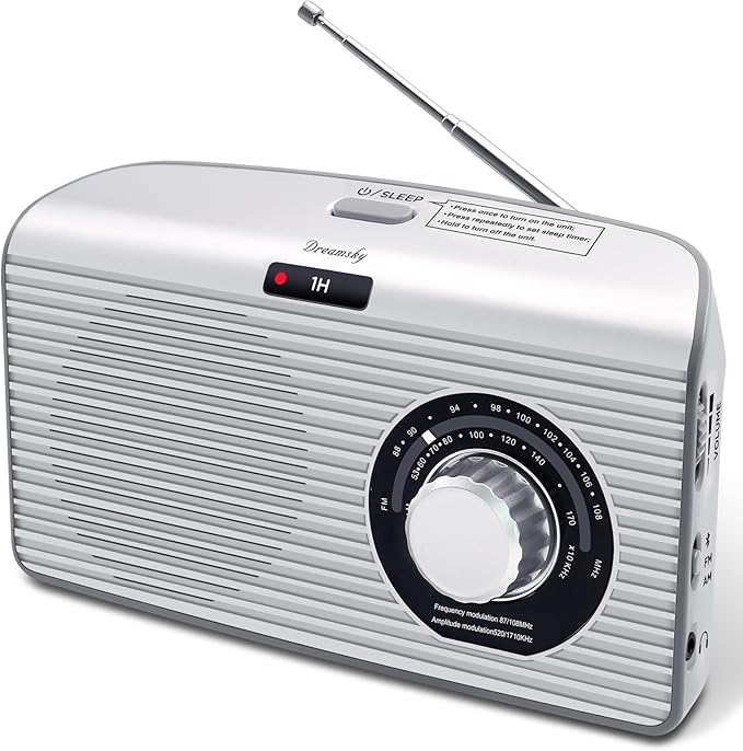 DreamSky Bluetooth Speaker Radio Sleep Timer, Hi-Fi Clear Extra Loud Sound by DreamSky