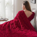 Drewin Weighted Blanket Queen Size 20 lbs, Cozy Sherpa Weighted Blankets by Home