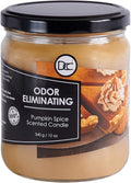 Pumpkin Spice Odor Eliminating Highly Fragranced Candle by DiannesCustomCandles