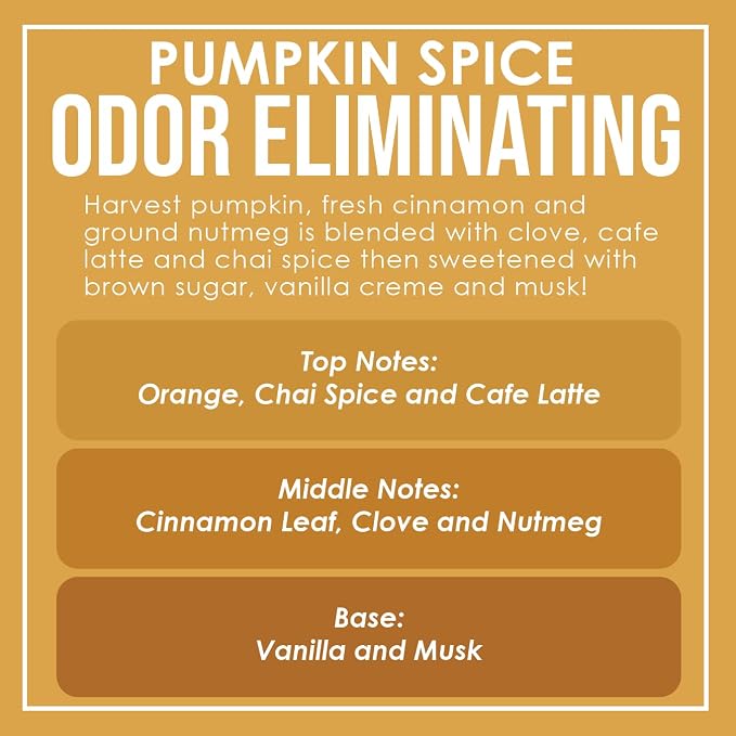 Pumpkin Spice Odor Eliminating Highly Fragranced Candle - Image 4
