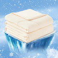 Cozy Bliss Cooling Comforter Queen Size, Cooling Blankets by CozyBliss