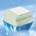 Cozy Bliss Cooling Comforter Queen Size, Cooling Blankets by CozyBliss