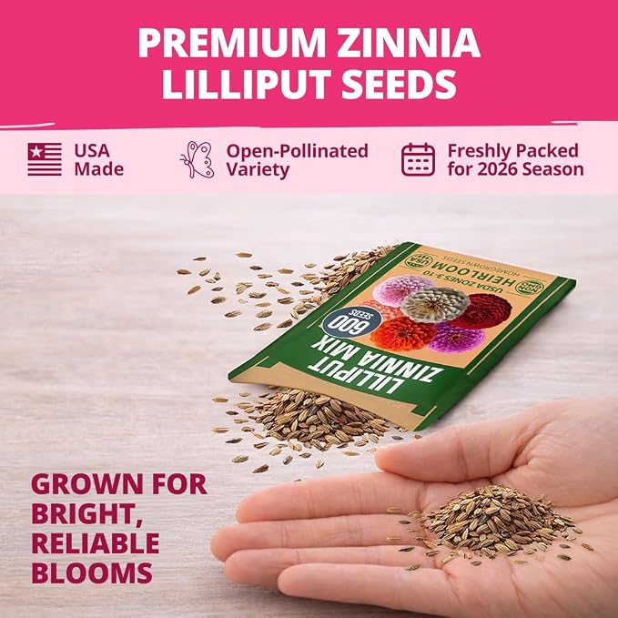HOME GROWN Zinnia Lilliput Mix Flower Seeds – 600 Seeds Zinnia elegans – - Image 7