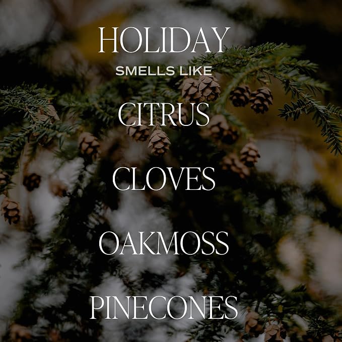 Sweet Water Decor Holiday Candle | Cloves, and Sandalwood Festive Christmas - Image 9