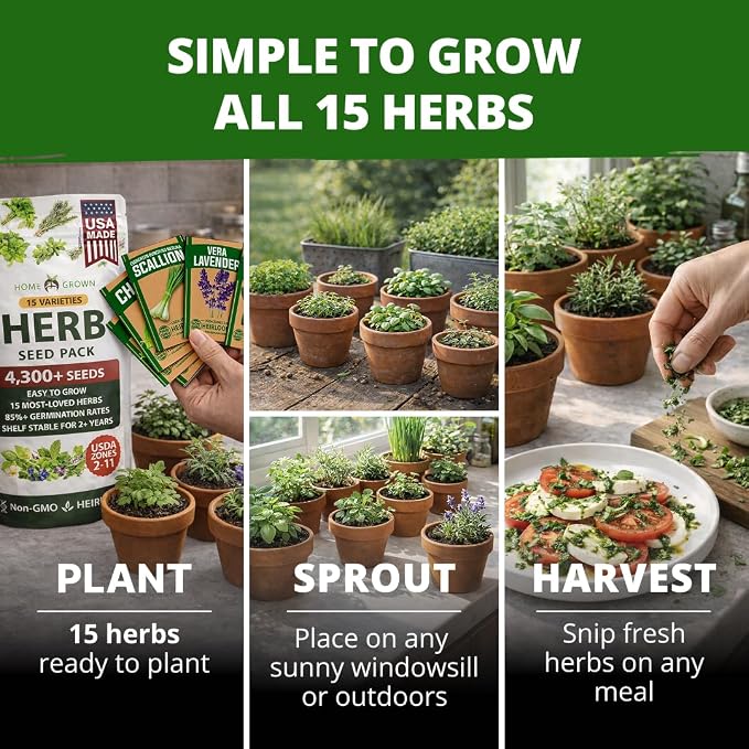 HOME GROWN Herb Seeds for Planting 15-Pack Massive Seed Count 4, 300+ Seeds - Image 2