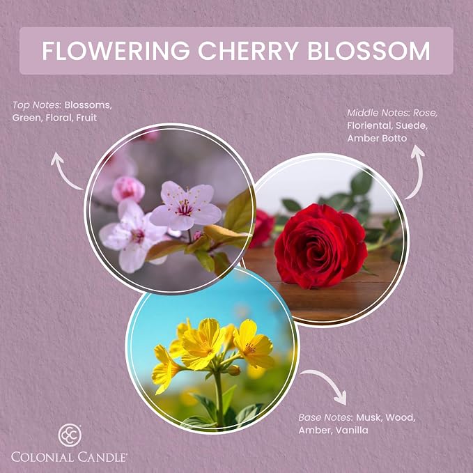 Colonial Candle Flowering Cherry Blossom Scented Candle Jar, Highly Fragranced - Image 2