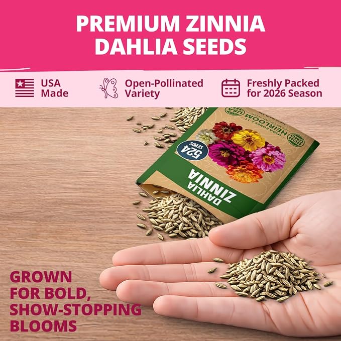 HOME GROWN Zinnia Dahlia Seeds Pack - Image 7