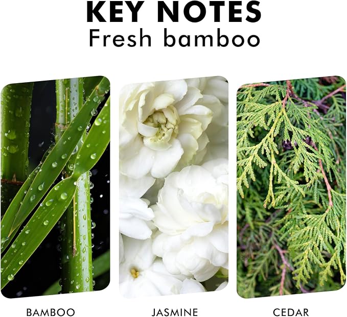 Xcleen Reed Diffuser, Fresh Bamboo Scented Diffuser - Image 3