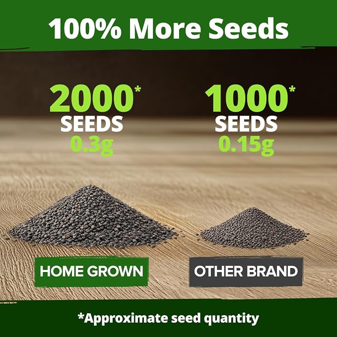 HOME GROWN Snapdragon Seeds Tetra – 2000 Tall Flower Seeds to Plant Outside - Image 4