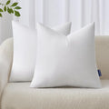 MIULEE 20x20 Inches Pillow Inserts Pack of 2, Decorative Throw Pillow Inserts by MIULEE