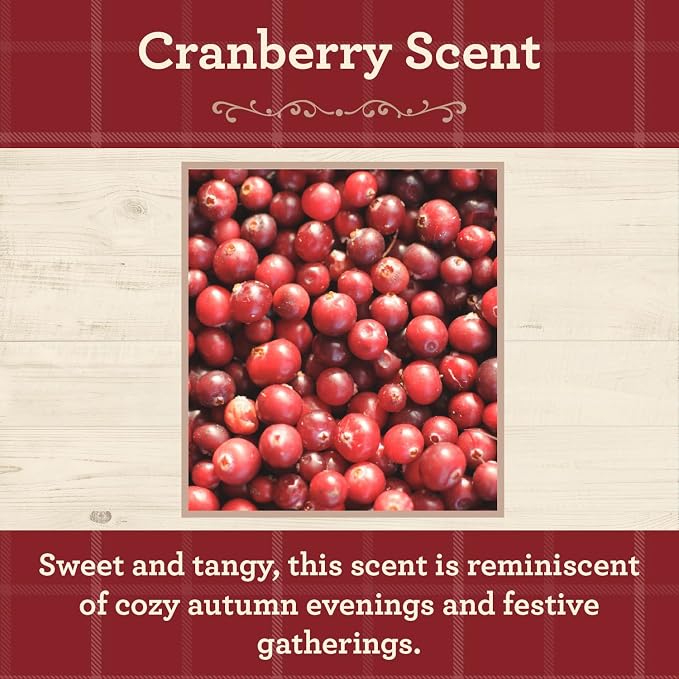 Our Own Candle Company, Cranberry Scented Mason Jar Candle, 100 Hour Burn Time - Image 2
