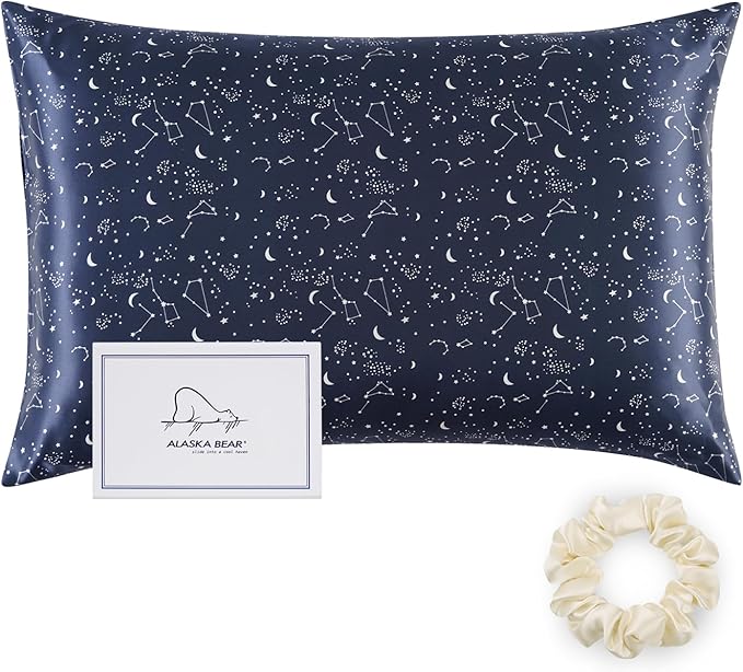 ALASKA BEAR Silk Pillowcase Envelope Closure, 22 Momme 100 Percent Long Overlap by ALASKABEAR
